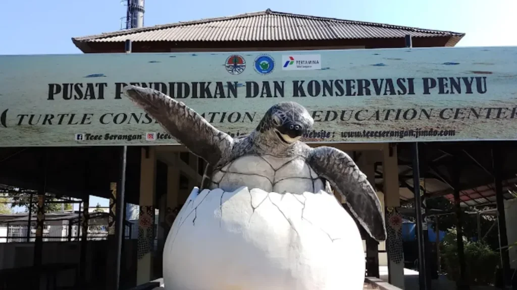Turtle Conservation and Education Center (TCEC) attraction in the Near Serangan Port, a popular educational stop near Serangan Harbour.